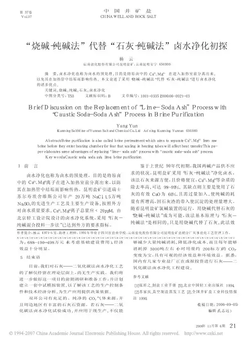 _烧碱_纯碱法_代替_石灰_纯碱法_卤水净化初探