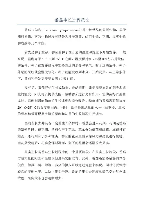 番茄生长过程范文
