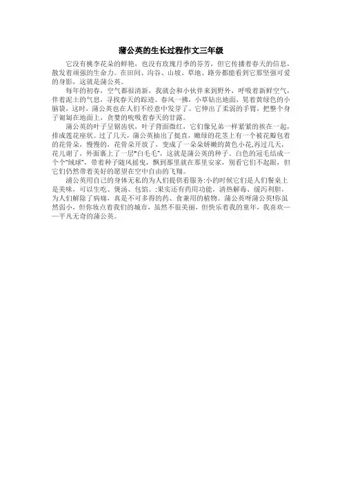 蒲公英的生长过程作文三年级