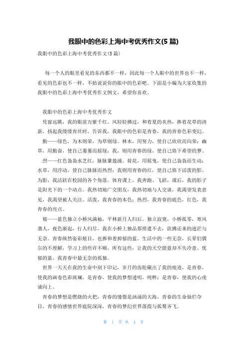 我眼中的色彩上海中考优秀作文(5篇)