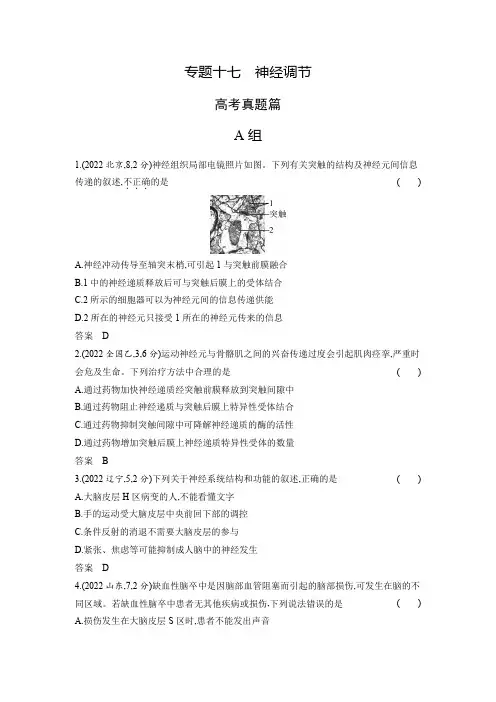 高考生物专题复习-专题十七神经调节-高考真题篇(附答案)