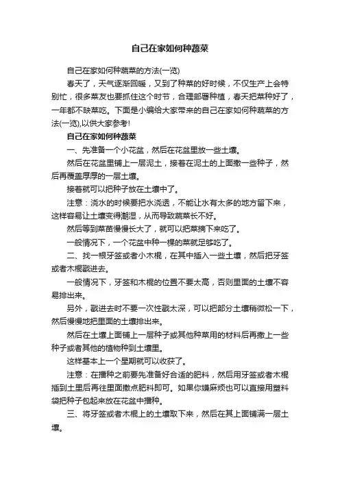 自己在家如何种蔬菜