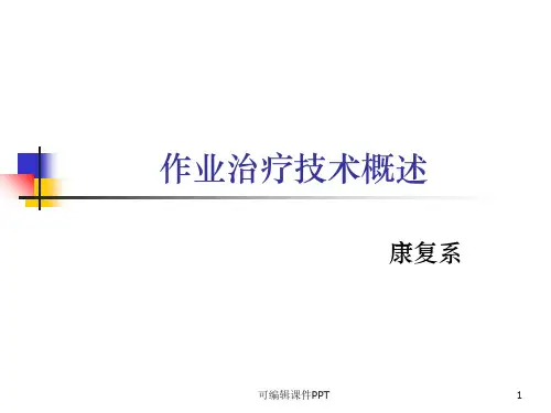 作业治疗技术概述