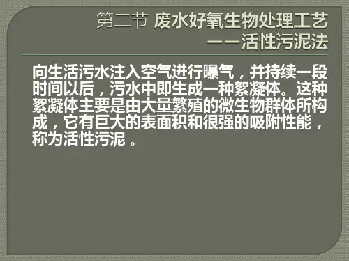 水污染控制工程废水好氧生物处理工艺——活性污泥法