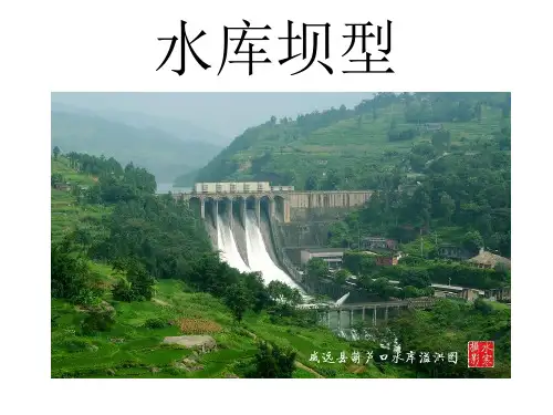稿1-水库坝型汇总.