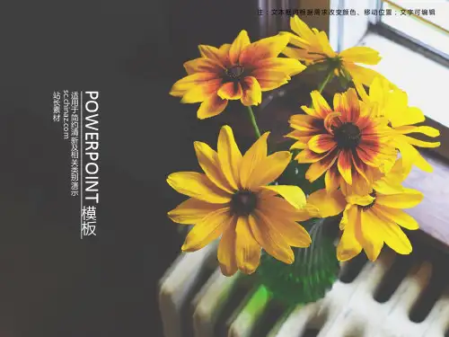 向阳花模板 [7页]