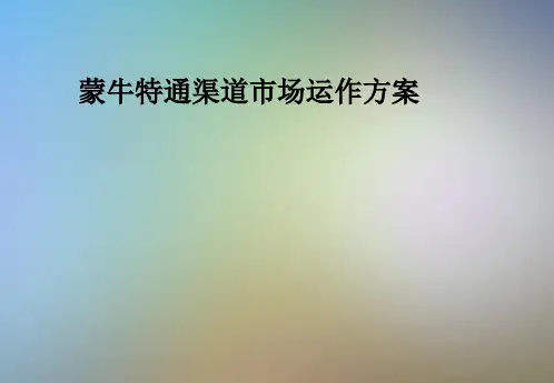 蒙牛特通渠道市场运作方案