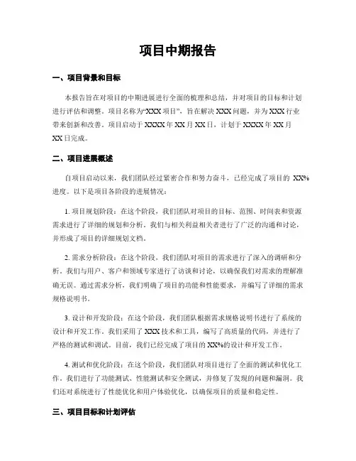 项目中期报告