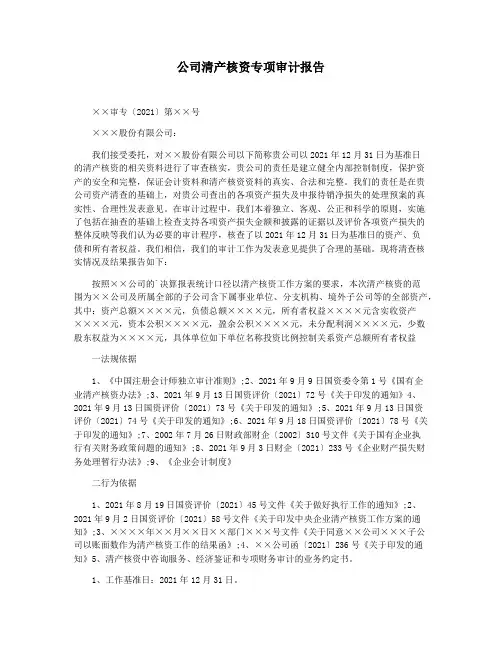 公司清产核资专项审计报告