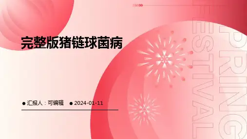 完整版猪链球菌病