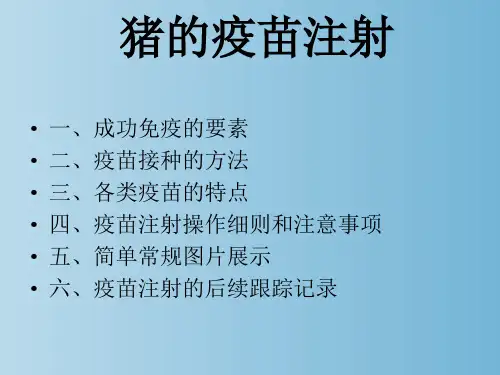猪的疫苗注射操作 教学PPT课件
