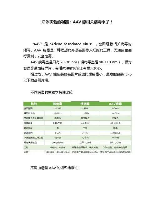 活体实验的利器：AAV腺相关病毒来了！