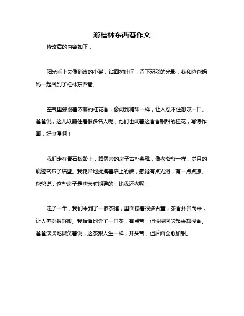 游桂林东西巷作文