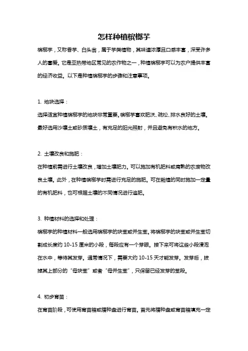 怎样种植槟榔芋