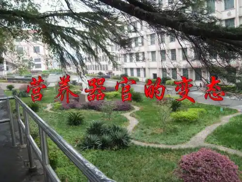 植物营养器官的变态