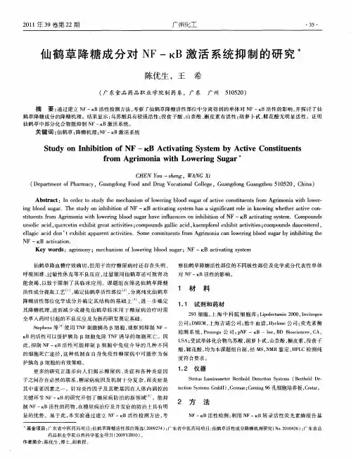 仙鹤草降糖成分对NF-κB激活系统抑制的研究