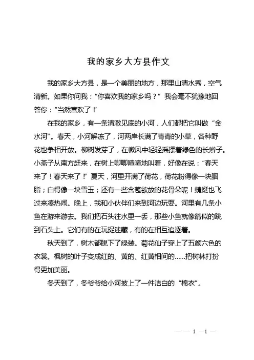 我的家乡大方县作文