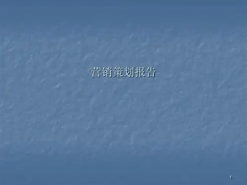 小灵轻迷你洗衣机营销方案分析解析ppt课件