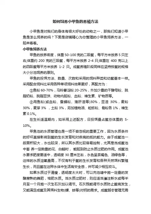 如何饲养小甲鱼的养殖方法