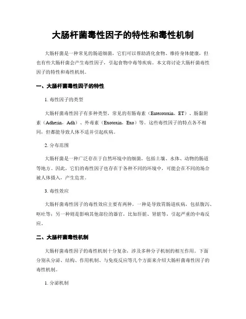 大肠杆菌毒性因子的特性和毒性机制