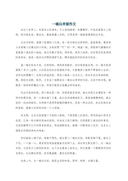 一碗白米饭作文