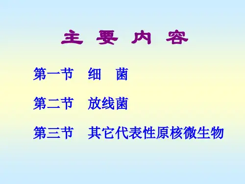 1细菌的形态排列大小及一般结构课件