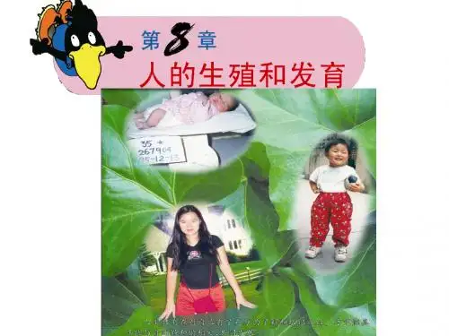 苏教版七年级生物下册课件：8-1精卵结合孕育新的生命