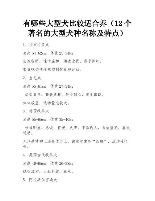 有哪些大型犬比较适合养(12个著名的大型犬种名称及特点) 
