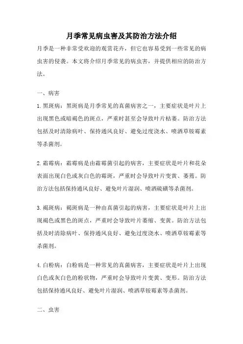 月季常见病虫害及其防治方法介绍