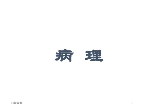 病理学课件PPT课件