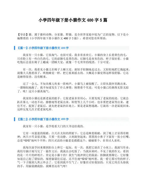 小学四年级下册小猫作文400字5篇