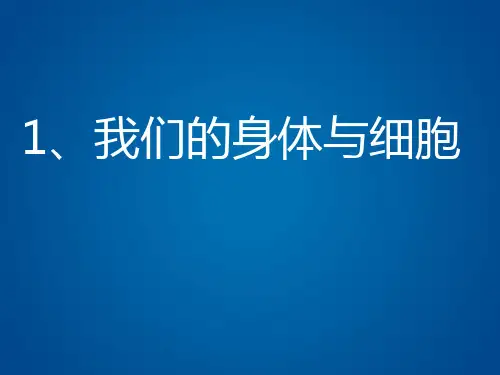 六年级体育课件 -我们的身体与细胞全国通用 (共22张PPT)