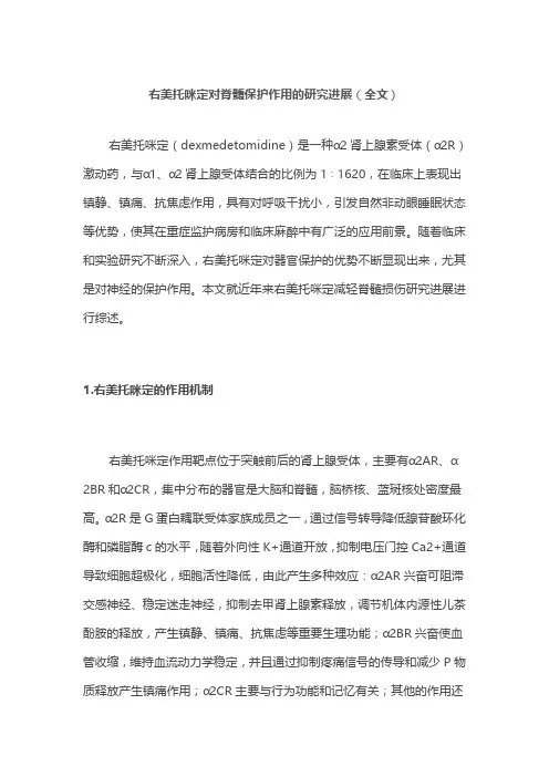 右美托咪定对脊髓保护作用的研究进展(全文)