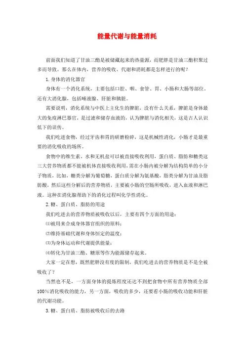 身体内的能量代谢与能量消耗