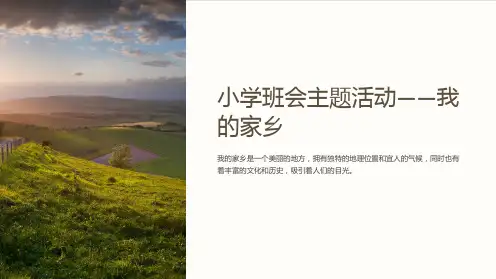 《小学班会主题活动-我的家乡》