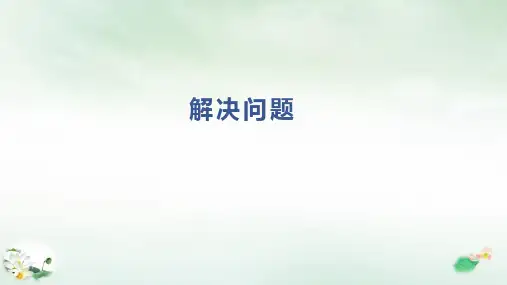 《解决问题》完美版PPT(共14页)