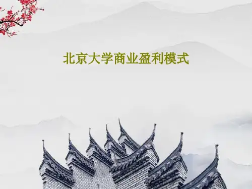 北京大学商业盈利模式46页PPT