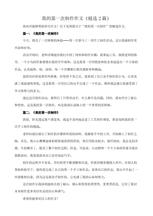 我的第一次制作 作文(精选2篇)