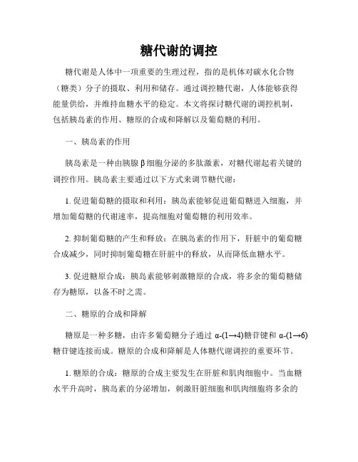 糖代谢的调控