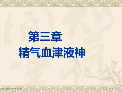 中医基础理论精气血津液神专家讲座