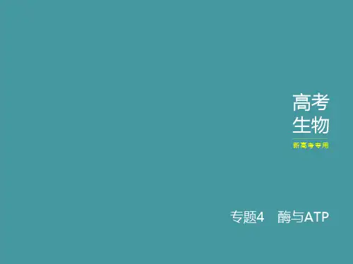 高考二轮复习酶与ATP课件(31张)