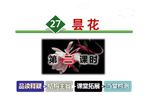《昙花》PPT课件(完美版)