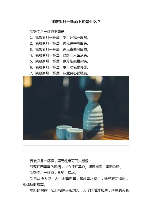 我敬岁月一杯酒下句是什么？