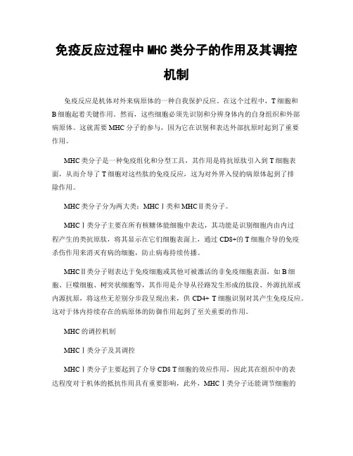 免疫反应过程中MHC类分子的作用及其调控机制