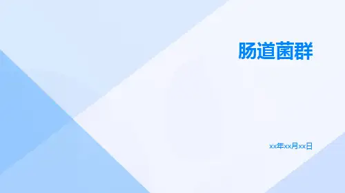 (医学课件)肠道菌群