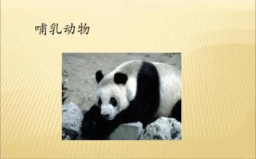 哺乳动物 生物精品课件