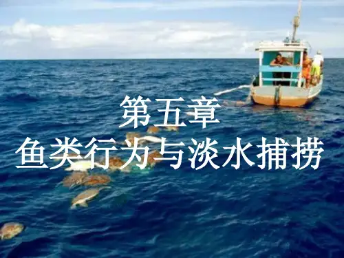 鱼类行为学：第五章 鱼类行为与淡水捕捞