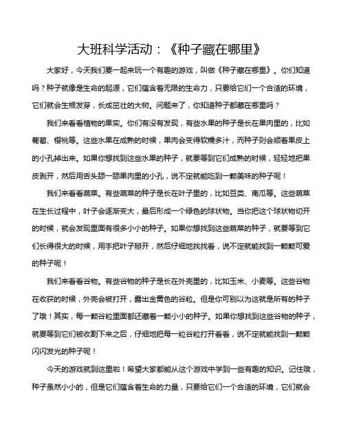 大班科学活动：《种子藏在哪里》