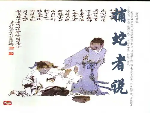 初中语文语文版九年级上册《捕蛇者说》黄小红》PPT