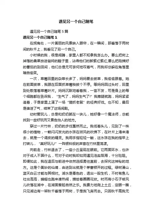 遇见另一个自己随笔